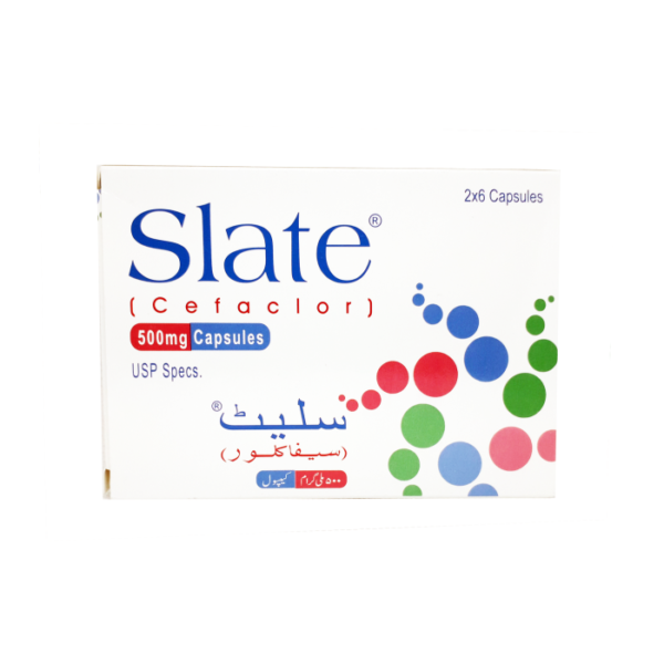 Slate Capsules 500mg Capsules
